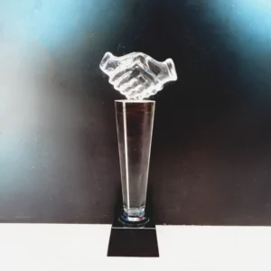 Crystal Trophy 3
