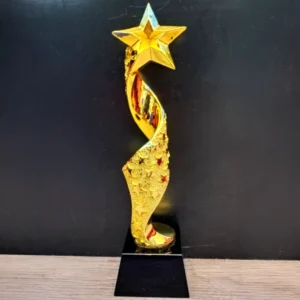Metal Award