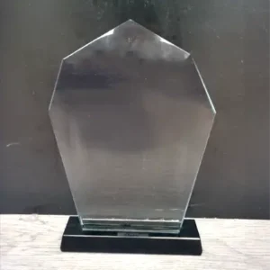 Metal Award 4