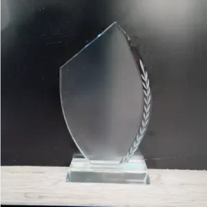 Crystal Award