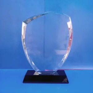 Crystal Award 12