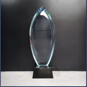 Crystal Award 8