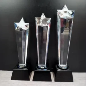 Crystal Award 6