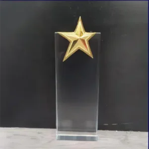 Crystal Award 22