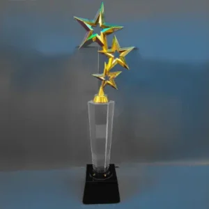 Crystal Award 17
