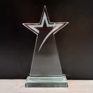 Crystal Award 10