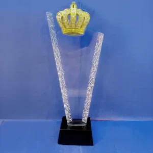 Crystal Award 1