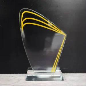 Crystal Award 5
