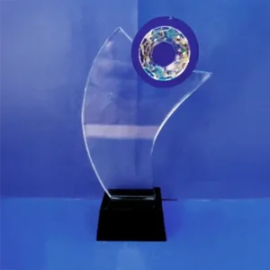 Crystal Award 18