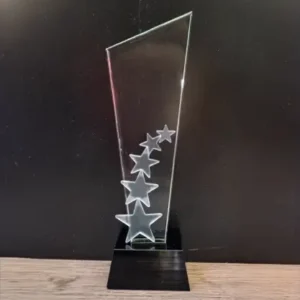 Crystal Award 14