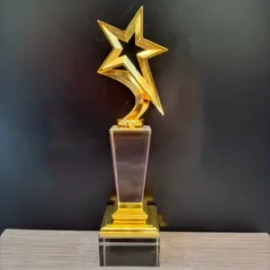 Crystal Award 7